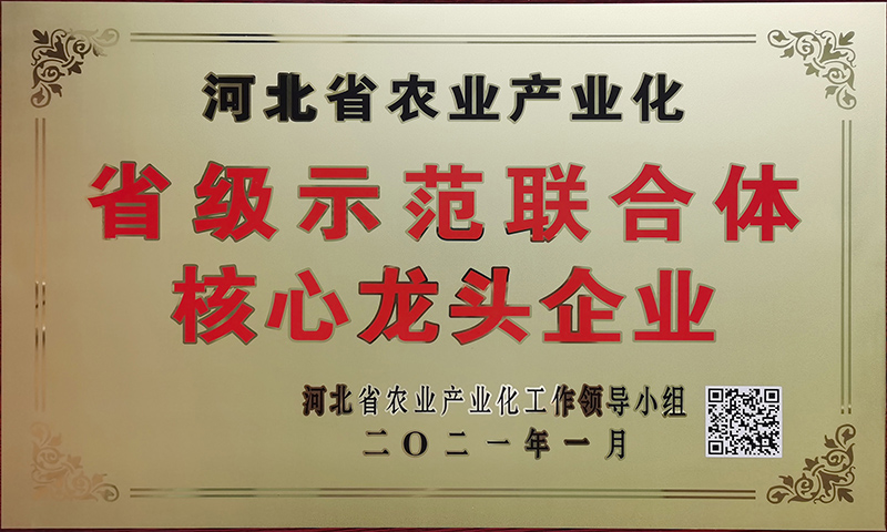 新(xīn)增-河北省農業産(chǎn)業化省級示範聯合體(tǐ)核心龍頭企業.jpg